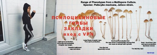 дживик Балахна